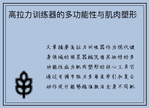 高拉力训练器的多功能性与肌肉塑形