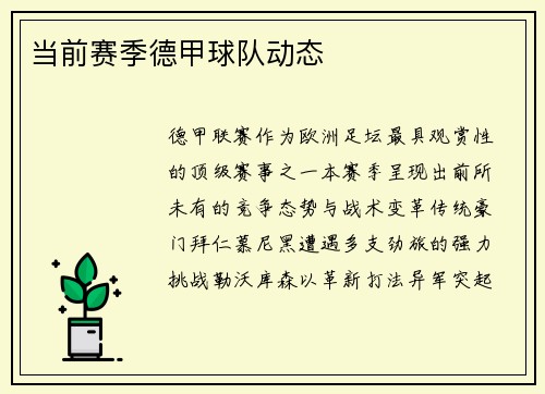 当前赛季德甲球队动态