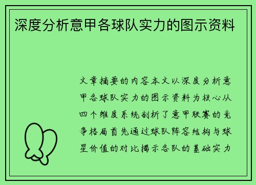 深度分析意甲各球队实力的图示资料